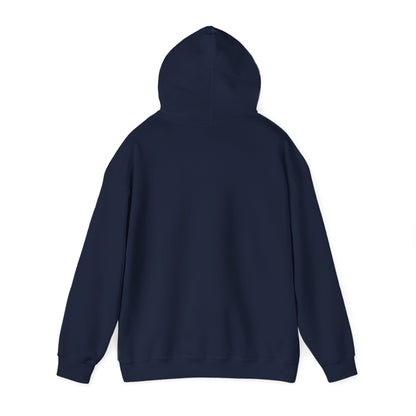 100% Quality Unisex Heavy Blend™ Cozy Hoodie Sweatshirt